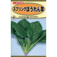 【種子】スプリングほうれん草 トーホクのタネ | Gardener s Shop Ivy