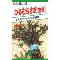 【種子】健康野菜 つるむらさき(赤茎)  トーホクのタネ | Gardener s Shop Ivy