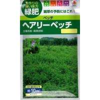 【種子】ベッチ ヘアリーベッチ（品種名ナモイ） タキイ種苗のタネ | Gardener s Shop Ivy
