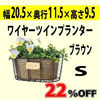 40%OFF　ワイヤーツインプランター(楕円形)S　ブラウン　ブリキの鉢 幅20.5*奥行11.5*高さ9.5cm | ガーデンスタイルYahoo!店