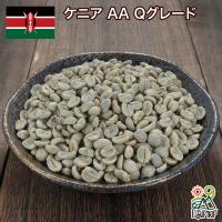 コーヒー 生豆 ケニア AA Qグレード #013 DripTrip 1kg 2kg 5kgの