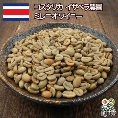 コスタのおすすめ人気商品一覧 通販 - Yahoo!ショッピング