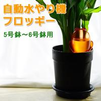 自動水やり器 5号から6号鉢用 植物用 自動水やり機 フロッギーMサイズ ドイツ製 