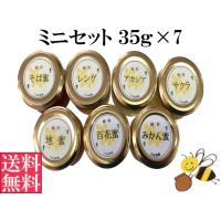 つかもと養蜂場 山の花々のはちみつ 300g 4560178210152 爽快ドラッグ 通販 yahoo ショッピング