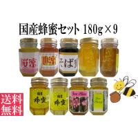 株式会社金市商店 金市ミールミィ 国産北海道蜂蜜 (１００ｇ)×12個 