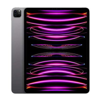 ipad pro 11インチ 第5世代（内蔵ストレージ容量：512GB）のおすすめ