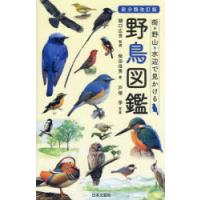 街・野山・水辺で見かける野鳥図鑑 | ぐるぐる王国2号館 ヤフー店
