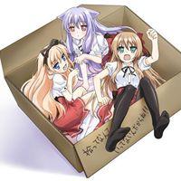 Amazon.co.jp: 迷い猫オーバーラン！第6巻 〈初回限定版〉 [Blu