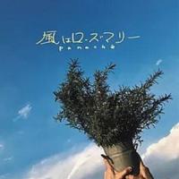 Panache / 風はローズマリー [CD] | ぐるぐる王国2号館 ヤフー店