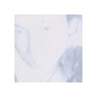 浅井健一 / DEVIL [CD] | ぐるぐる王国2号館 ヤフー店