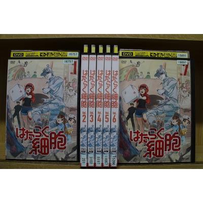 はたらく細胞 DVDのおすすめ人気商品一覧 通販 - Yahoo!ショッピング