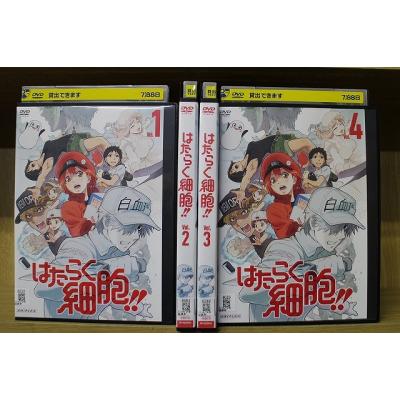 はたらく細胞 DVDの商品一覧 通販 - Yahoo!ショッピング はたらく細胞 DVDの商品一覧 通販 - Yahoo!ショッピング