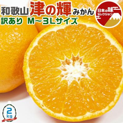 津之輝のおすすめ人気商品一覧 通販 - Yahoo!ショッピング