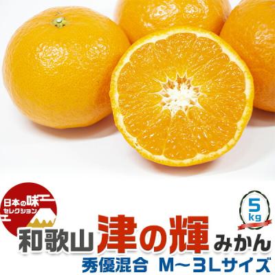 津之輝のおすすめ人気商品一覧 通販 - Yahoo!ショッピング