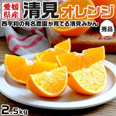 0️⃣4️⃣愛媛県産 川上蜜柑 秀品Sサイズ ２箱セット お歳暮 ギフト】愛媛県 JAにしうわ 川上共選 最高等級みかん「味ピカ
