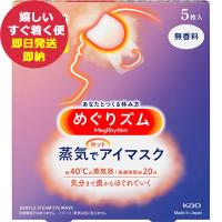 花王 めぐりズム 蒸気でホットアイマスク 5枚 無香料 (あすつく)【のし包装可】_ | ギフトハレ