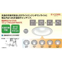 TOSHIBA LEDライトエンジンフラット形 ダウンライト 東芝 - TOSHIBA LEDライトエンジンフラット形 ダウンライトの通販 by