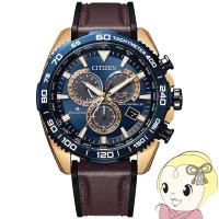 腕時計 プロマスター CB5039-11L メンズ ブラウン Citizen シチズン | ぎおん