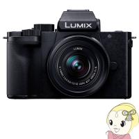 パナソニック ミラーレス 一眼レフ カメラ トライポッドグリップ付属 標準ズームレンズキット LUMIX DC-G100K | ぎおん