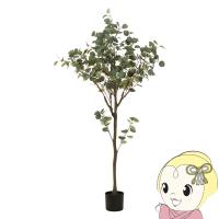 観葉植物 フェイクグリーン ユーカリ おしゃれ 150cm ジョイント | ぎおん