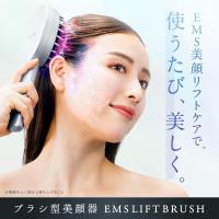 電気ブラシ EMS美顔器 NIPLUX EMS LIFT BRUSH emsリフトブラシ リフトケア 頭皮ケア 頭皮マッサージ ヘッドマッサージ NP-ELB23SV | ぎおん