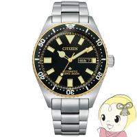 腕時計 プロマスター NY0125-83E メンズ シルバー シチズン Citizen | ぎおん