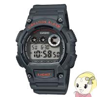 CASIO 腕時計 スタンダードウォッチ カシオ コレクション W-735H-8AJH | ぎおん