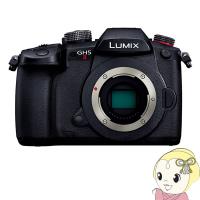 Panasonic パナソニック LUMIX Gシリーズ ミラーレス 一眼カメラ DC-GH5M2 ボディ/srm | スーパーぎおん ヤフーショップ