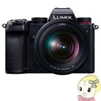 パナソニック ミラーレス一眼レフカメラ LUMIX DC-S5K 標準ズームKレンズキット/srm | スーパーぎおん ヤフーショップ