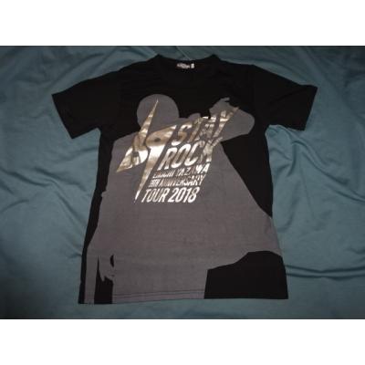 希少　E.YAZAWA シルエットロックワールド Tシャツ グレー 希少 E.YAZAWA シルエットロックワールド Tシャツ グレー 【公式通販】
