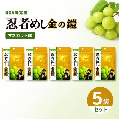 忍者めし鉄の鎧のおすすめ人気商品一覧 通販 - Yahoo!ショッピング