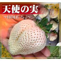 まもなく終了！佐賀県産「井手農園」の超大粒白いちご『天使の実』　　9〜12粒入（約1kg） 