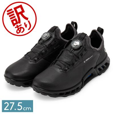 Nike ゴルフシューズ 27.5cm gore-tex シューズ（ゴルフ用品）（着脱タイプ：紐、シューレース