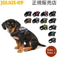 ユリウスケーナイン Julius-K9 IDC パワーハーネス 小型犬 Baby 1 / Baby 2 犬用 ハーネス 犬 散歩 | GulliverOnlineShopping Yahoo!店