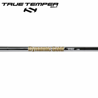 スパイン調整済トゥルーテンパー　DG X100 パラレル　5i 〜 PW ６本 スパイン調整済トゥルーテンパー DG X100 パラレル 5i 〜 PW 6本