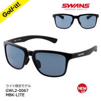 SWANS スワンズ er-1(イーアールワン) ER1-0170 DMBR フレーム/デミ SWANS スワンズ er-1(イーアールワン) ER1-0170 DMBR フレーム/デミ