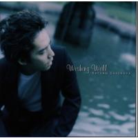 [国内盤CD]塩谷哲 / Wishing well | CD・DVD グッドバイブレーションズ