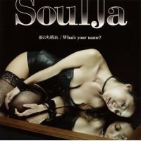 [国内盤CD]SoulJa / 雨のち晴れ / What's your name? [CD+DVD][2枚組] | CD・DVD グッドバイブレーションズ