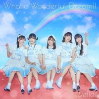 [国内盤CD]Liella! / What a Wonderful Dream!! | CD・DVD グッドバイブレーションズ