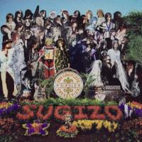 [国内盤CD]SUGIZO / THE COMPLETE SINGLE COLLECTION[3枚組][初回出荷限定盤(初回限定盤)] | CD・DVD グッドバイブレーションズ