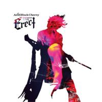 [国内盤ブルーレイ]Acid Black Cherry / Acid Black Cherry 5th Anniversary Live"Erect" | CD・DVD グッドバイブレーションズ