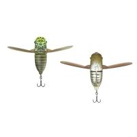 スイセン サイトアブラゼミ | G.A.Fストア ヤフー店