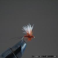 完成品ドライフライ D2 CDCソラックスダン BR | G.A.Fストア ヤフー店