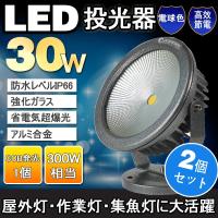 GOODGOODS 2個セット  LED 屋外照明 昼光色/電球色 30W 300W相当 投光機 広角 防水 LEDライト 防犯灯 LED投光器 庭園灯 一年保証  CO30 | GOODGOODS Yahoo!店