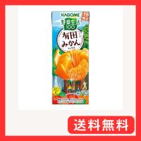 カゴメ 野菜生活100 有田みかんミックス 195ml紙パック×24本（季節限定品 砂糖不使用 ビタミンC） | グッドライフメディアセンター本店