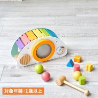 アイムトイ ImTOY 打楽器 型はめ パズル ロッキングアクティビティ 男の子 女の子 1歳から 知育玩具 おもちゃ 木のおもちゃ IM-30150 | Goods Lab Plus