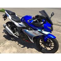 アクリポイント(ACRY-Point) スクリーン ストリート スモーク GSX250R 17 160221 | GOOD ZERO