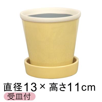 13（花、ガーデニング）（鉢号数：4号以下）のおすすめ人気商品一覧