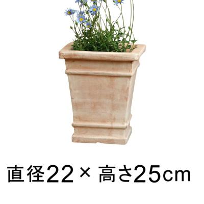 テラコッタ 鉢 スクエア（植木鉢）｜鉢、プランター｜園芸用品 | 花