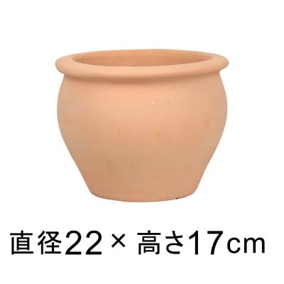つぼ型 テラコッタ鉢のおすすめ人気商品一覧 通販 - Yahoo!ショッピング
